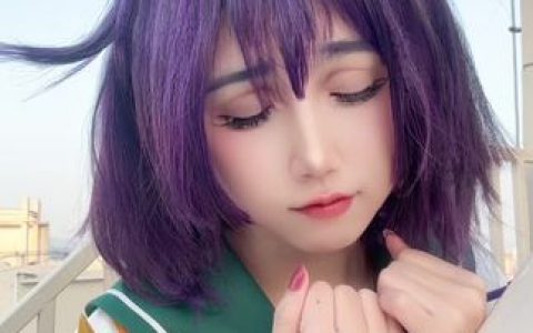 不呆猫完整作品合集，详细简介与精美资源